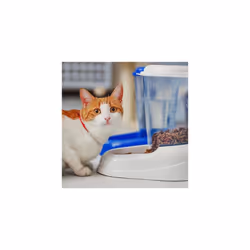 Ferplast Dry Food Dispenser - 3 Liter, Blue