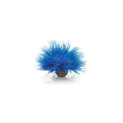 biOrb Aquatic Sea Lily Plant - Blue Aquarium Plant