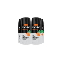 Lynx Jungle Fresh Antiperspirant Deodorant Spray, 150ml Pack of 6, 72H Protection