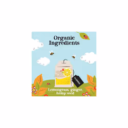 Clipper Organic Groovy Ginger Tea Bags - 20 Count