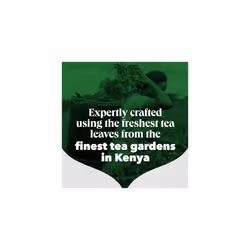 PG Tips Decaf Black Tea Bags, 420 Count
