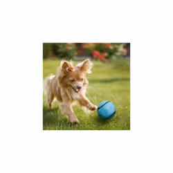 Chuckit! Scented Dog Ball - Bacon & Peanut Butter, Medium, 2pk