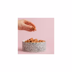 Mason Cash Splatter Stoneware Pet Bowl With Gold Rim, 15 cm