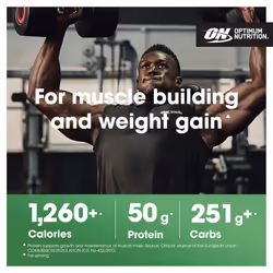 Optimum Nutrition Serious Mass Protein Powder High Calorie Mass Gainer with Vitamins, Creatine Monohydrate and Glutamine, Banana, 8 Servings, 2.73kg,