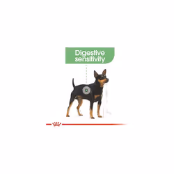 Royal Canin Digestive Care Adult Wet Dog Food 85g (12 Pack)