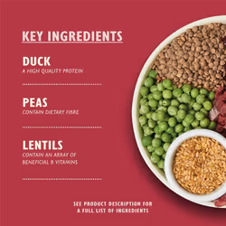 Lily's Kitchen Made with Natural Ingredients Adult Dry Dog Food Duck Salmon & Venison Grain-Free Recipe 2.5kg