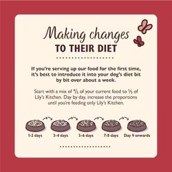 Lily's Kitchen Made with Natural Ingredients Adult Dry Dog Food Duck Salmon & Venison Grain-Free Recipe 2.5kg