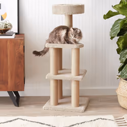 Amazon Basics Cat Tree Tower with Scratching Posts for Home Indoor Use, Beige, Large (45L x 45W x 117H cm)