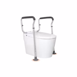 Vevor LJLDSAQLG300LXDX1V0 300 lbs Toilet Safety Rail