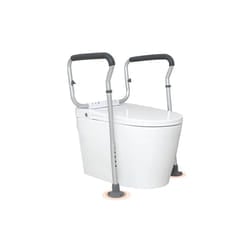 Vevor LJLDSAQLG300LXDX1V0 300 lbs Toilet Safety Rail