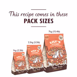 Lily's Kitchen Made with Natural Ingredients Puppy Dry Dog Food Chicken, Salmon & Peas Grain-Free Recipe 7kg