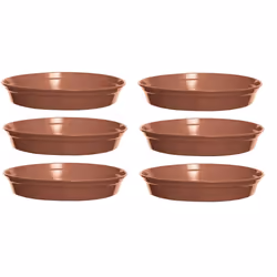 6 Plastic Plant Pot Saucers 19cm Terracotta Colour For 7 or 8 Inch Pot