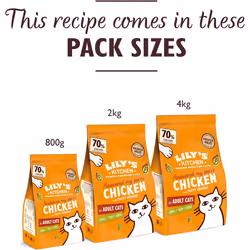 Lily's Kitchen Made with Natural Ingredients Adult Dry Cat Food Bag Chicken with Veggies Grain-Free Recipe 2kg