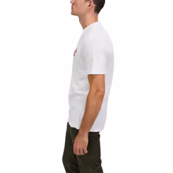 , M) BEN SHERMAN Mens T Shirts Summer Theme Printed Tee - White (Fruits