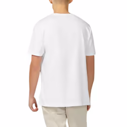 BEN SHERMAN Mens T Shirts Casual Summer Tee - White, 2XL