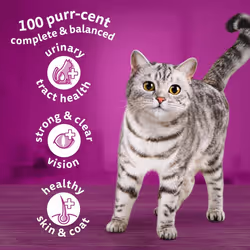 Whiskas 1+ Chicken Pack of 4 x 1.9 kg Bags, Adult Cat Dry Food