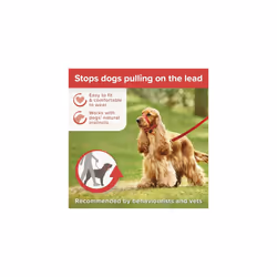 Beaphar | Gentle Leader | Head Collar for Medium Dogs | Stops Pulling On The Lead | Training Aid with Immediate Effect | Endorsed by Behaviourists | R