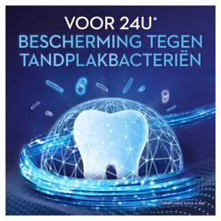 Oral-B - Pro-Expert Strong Teeth Mouthwash - 500 ML