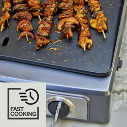Cuisinart PL60U outdoor barbecue/grill Skottel braai Electric Black, Grey, Satin steel