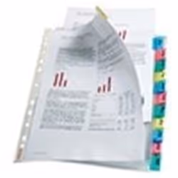 -Set of pockets with coloured tabs for indexing. -Glass clear finish for greater clarity. -White multi-punched universal rein ...