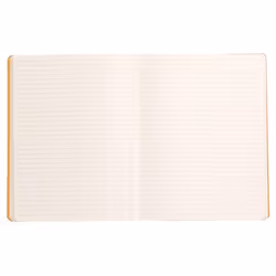 Rhodia 117504C writing notebook 80 sheets Taupe