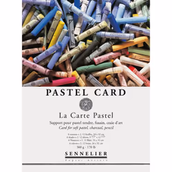 Sennelier La Carte Pastel Pad 9"""" x 12"""" Multi
