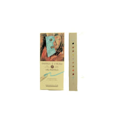 Artists Oil Pastels - Set of 12 x Iridescent