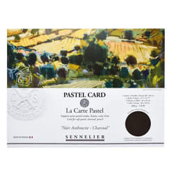 Sennelier La Carte Pastel Card Pochette  15.75"""" x 11""""  Monochromatic