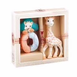 Vulli 2 learning toy