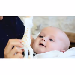 Vulli 2 learning toy - Additional view 5