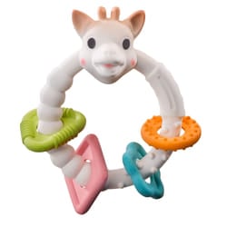 Vulli 010120 rattle