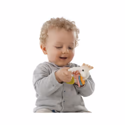 Vulli 010120 rattle