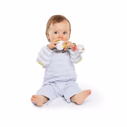 Vulli 010168 rattle