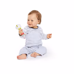 Vulli 010168 rattle