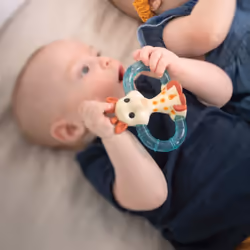 Vulli 010315 rattle