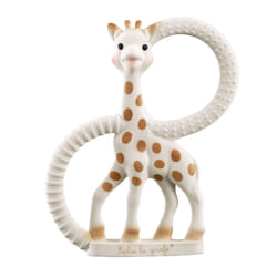 Vulli 010318 rattle