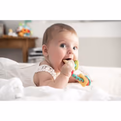 Vulli 200179 rattle