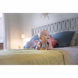 Vulli 200179 rattle