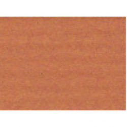 Clairefontaine 3065503049588 art paper 1 sheets