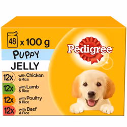 PEDIGREE Puppy Pouches Mixed Varieties in Jelly 12x100g (Pack of 4)
