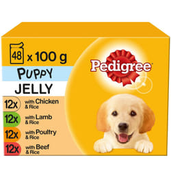 PEDIGREE Puppy Pouches Mixed Varieties in Jelly 12x100g (Pack of 4)