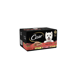 Cesar Classics Terrine - Wet Dog Food for Adult Dogs 1+ Mixed Selection in Jelly, 24 Trays (24 x 150 g)