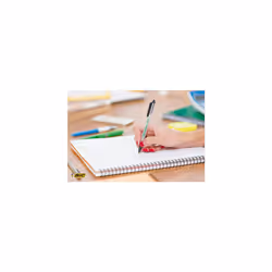 Bic Ecolutions Clic Ballpoint Pen 1.0mm (50pk)