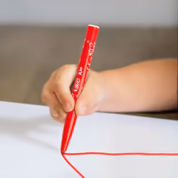 BIC 9020801 felt pen 12 pc(s)