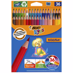 BIC ECOlutions 36 pc(s)