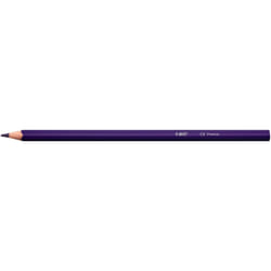 BIC 9641481 colour pencil 24 pc(s)