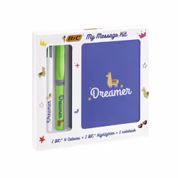 BIC 972091