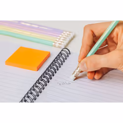 Evolution Pastel Graphite Pencils with Eraser and Shock-Resistant HB Lead - 4 Different Barrel Colours, Pack of 12