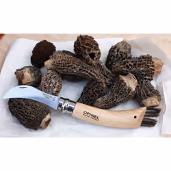 OPINEL Mushroom knife 8.5cm stainless steel blade with boar hair brush