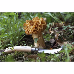 Opinel 3123840012525 pocket knife Wood